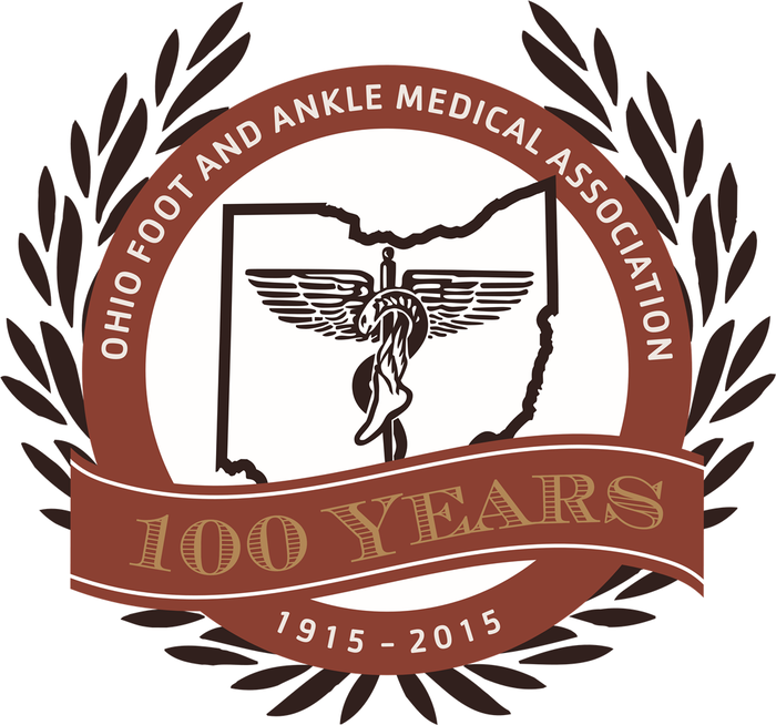 100th Logo 100th Logo